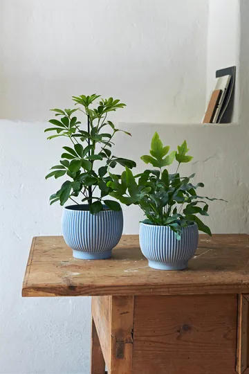 Vaso de flores com relevo Knabstrup Ø14,5 cm - Lavender blue - Knabstrup Keramik