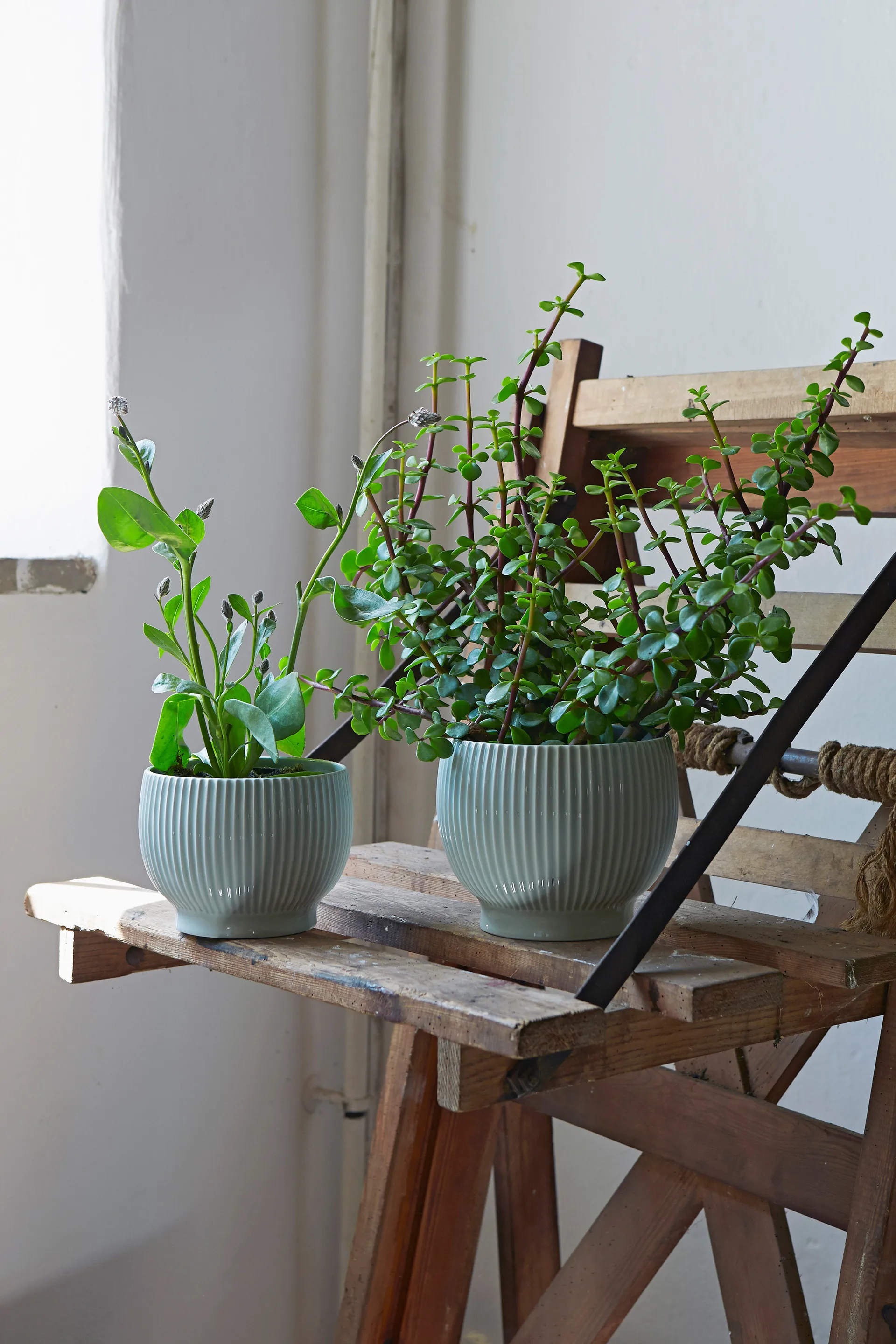 Vaso de flores com relevo Knabstrup Ø16,5 cm, Verde menta Knabstrup Keramik