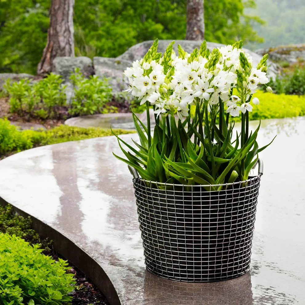 Cesto Korbo Classic 50, aço à prova de ácido KORBO