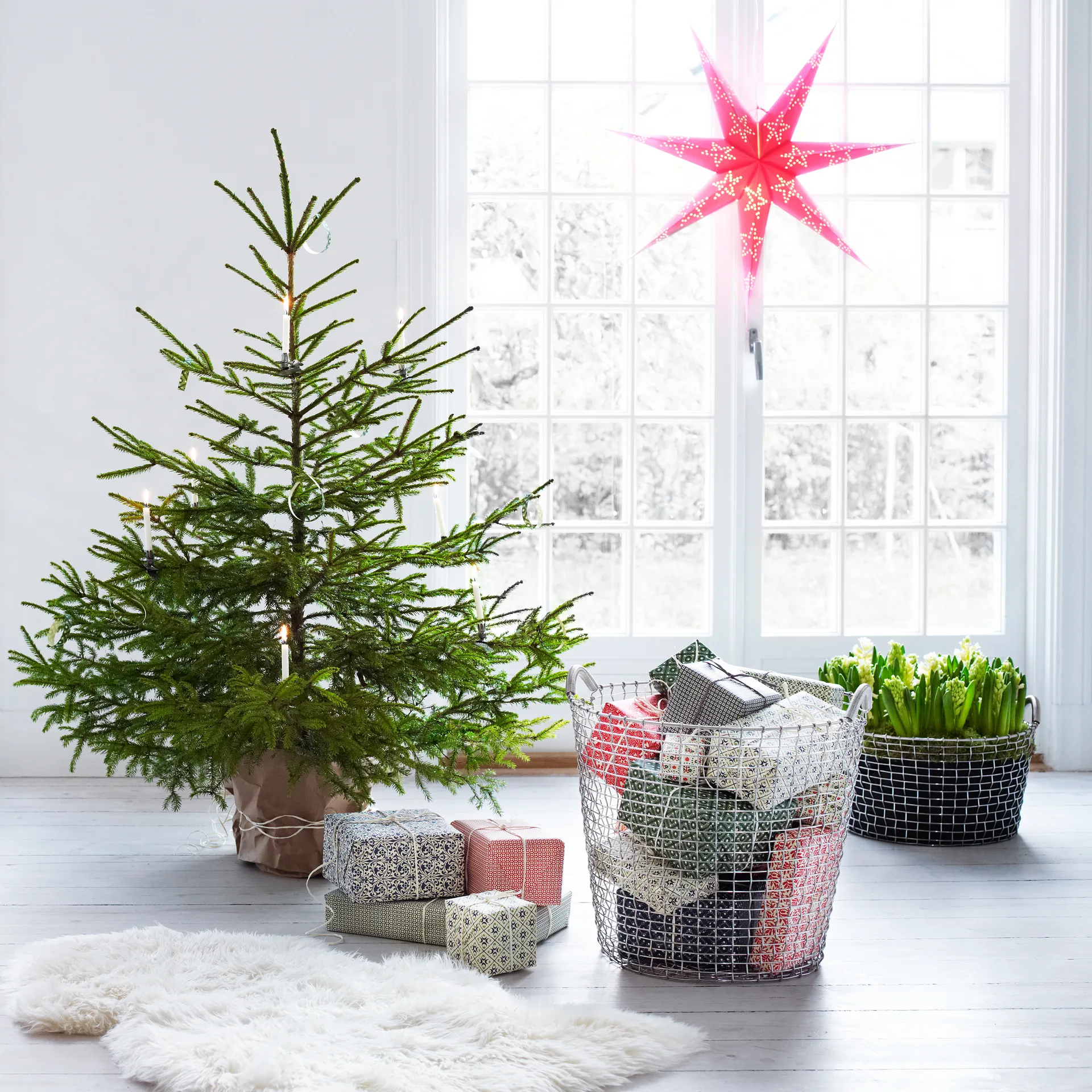 Cesto Korbo Classic 65, aço à prova de ácido KORBO