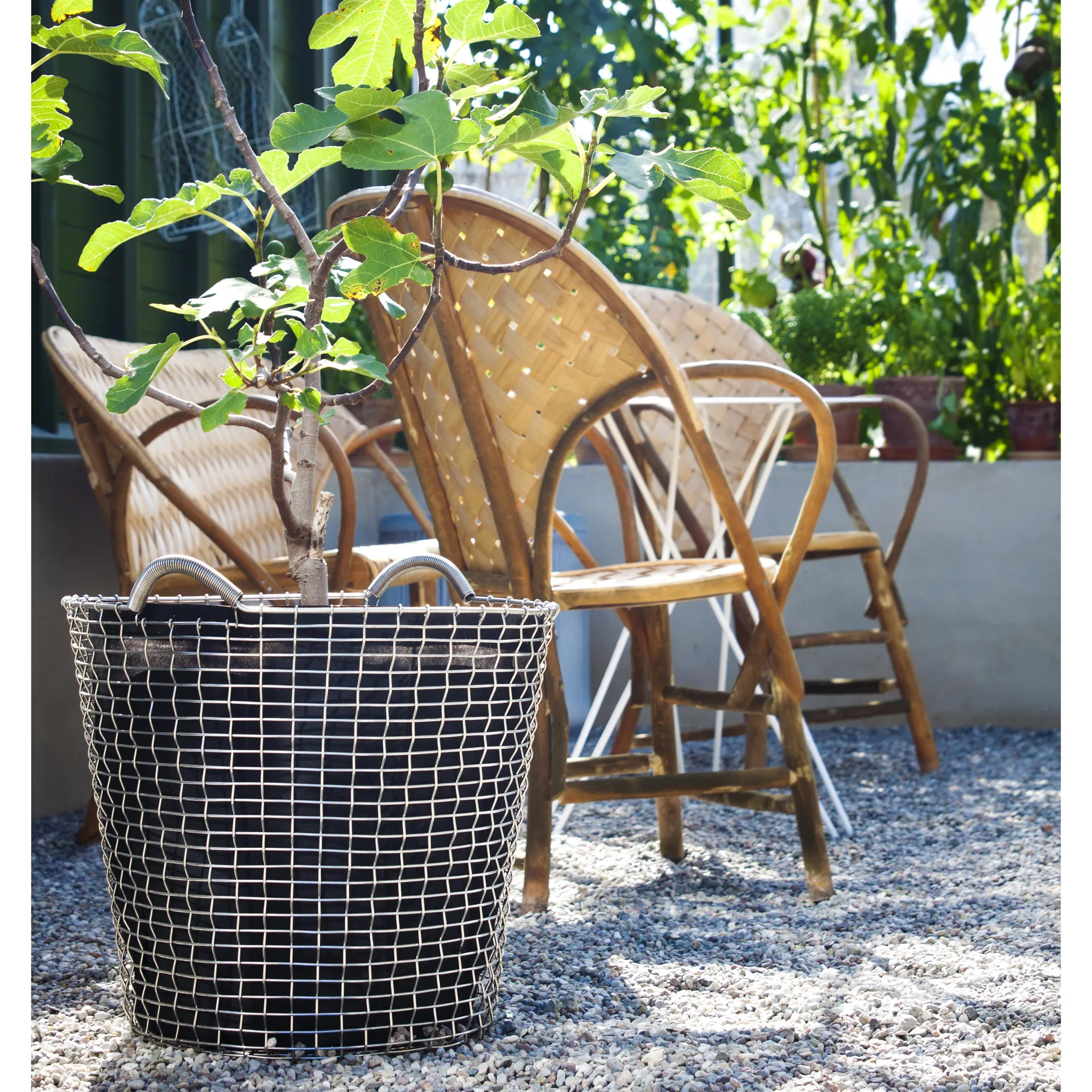 Cesto Korbo Classic 65, aço à prova de ácido KORBO