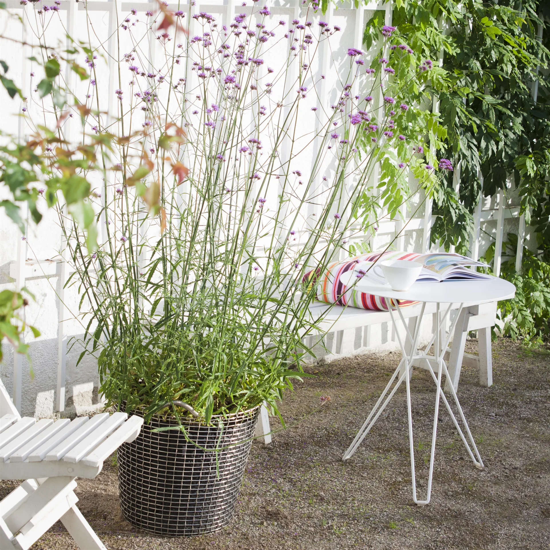 Cesto Korbo Classic 65, aço à prova de ácido KORBO