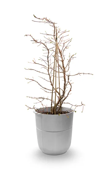 Linea vaso nº 1 alto - Alumínio - KORBO