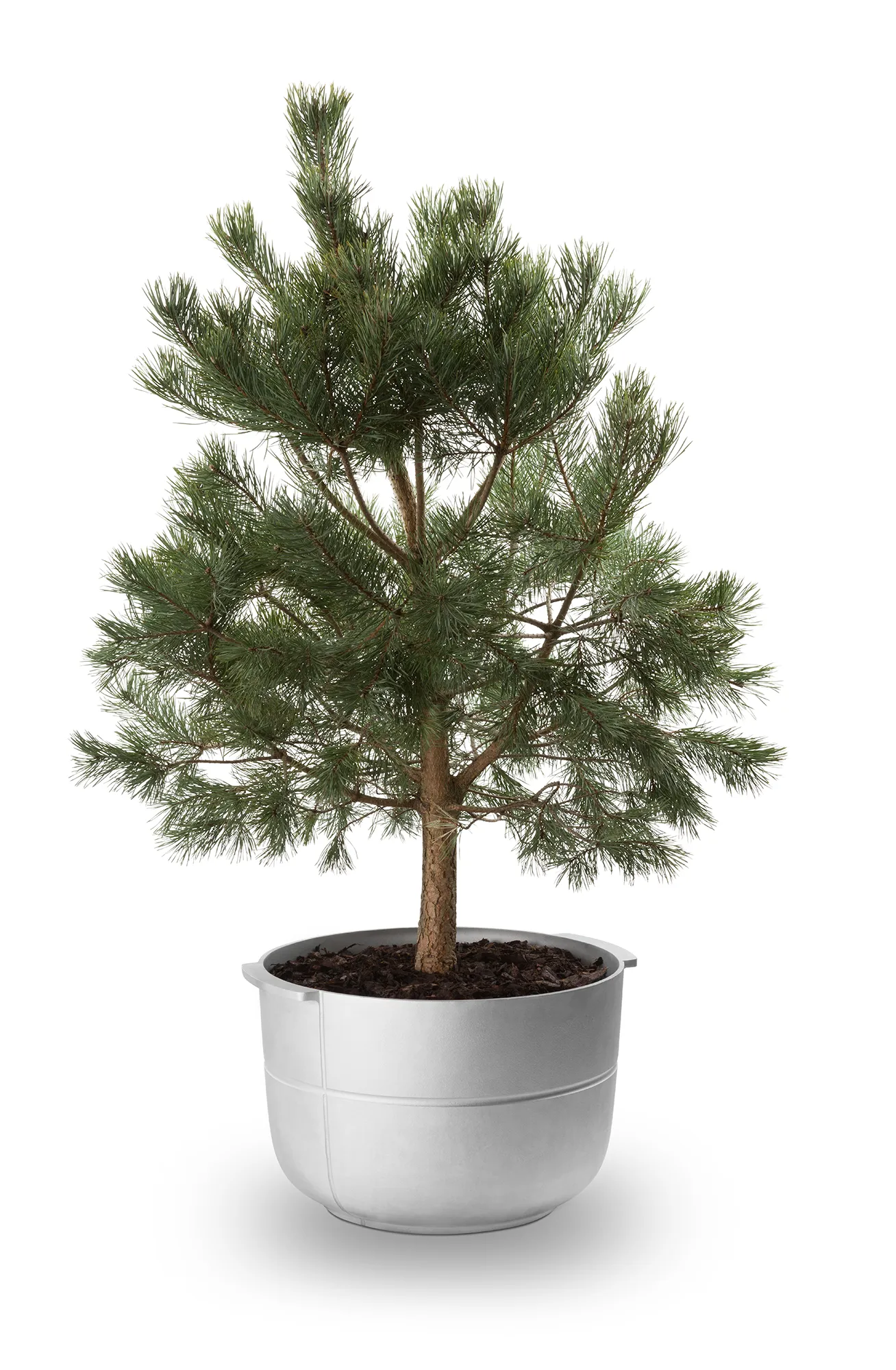 Linea vaso nº 2 médio, Alumínio KORBO