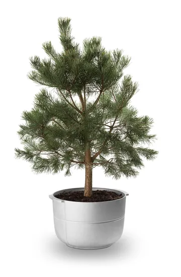 Linea vaso nº 2 médio - Alumínio - KORBO