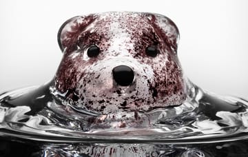 Copo New Friend 46 cl - copo urso - Kosta Boda