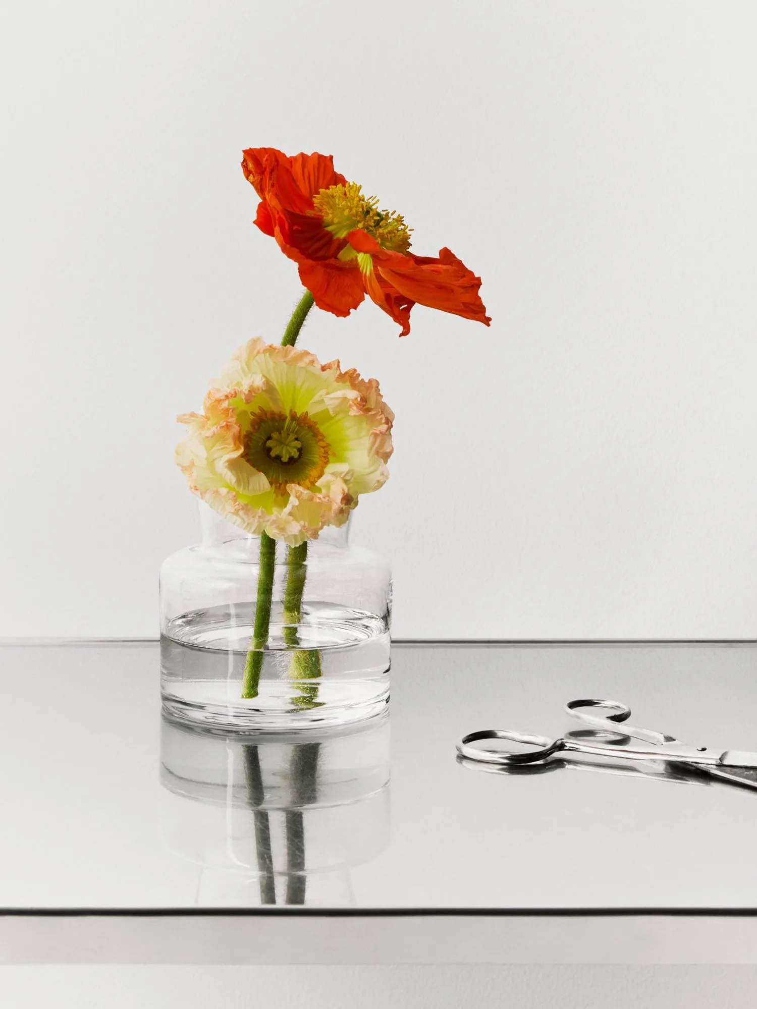 Meadow vaso 115 mm, Transparente Kosta Boda