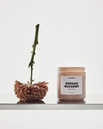Mind vela perfumada - Cactus Blossom, 330 g - Kosta Boda