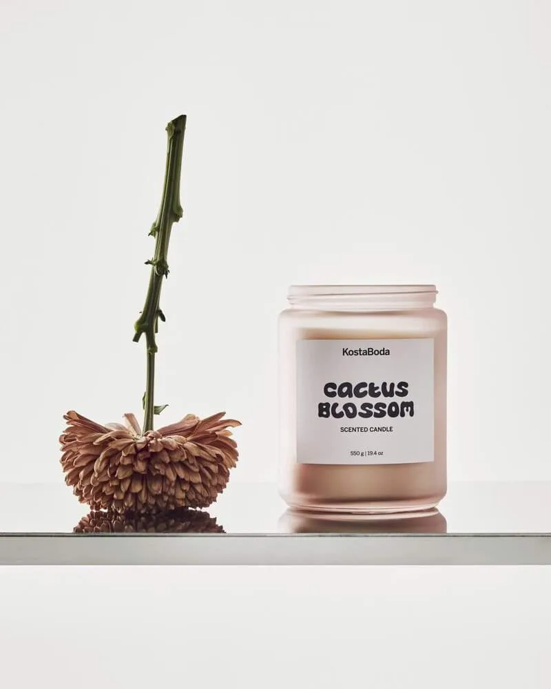 Mind vela perfumada, Cactus Blossom, 550 g Kosta Boda
