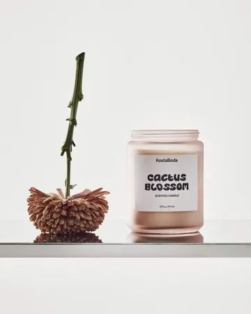 Mind vela perfumada - Cactus Blossom, 550 g - Kosta Boda