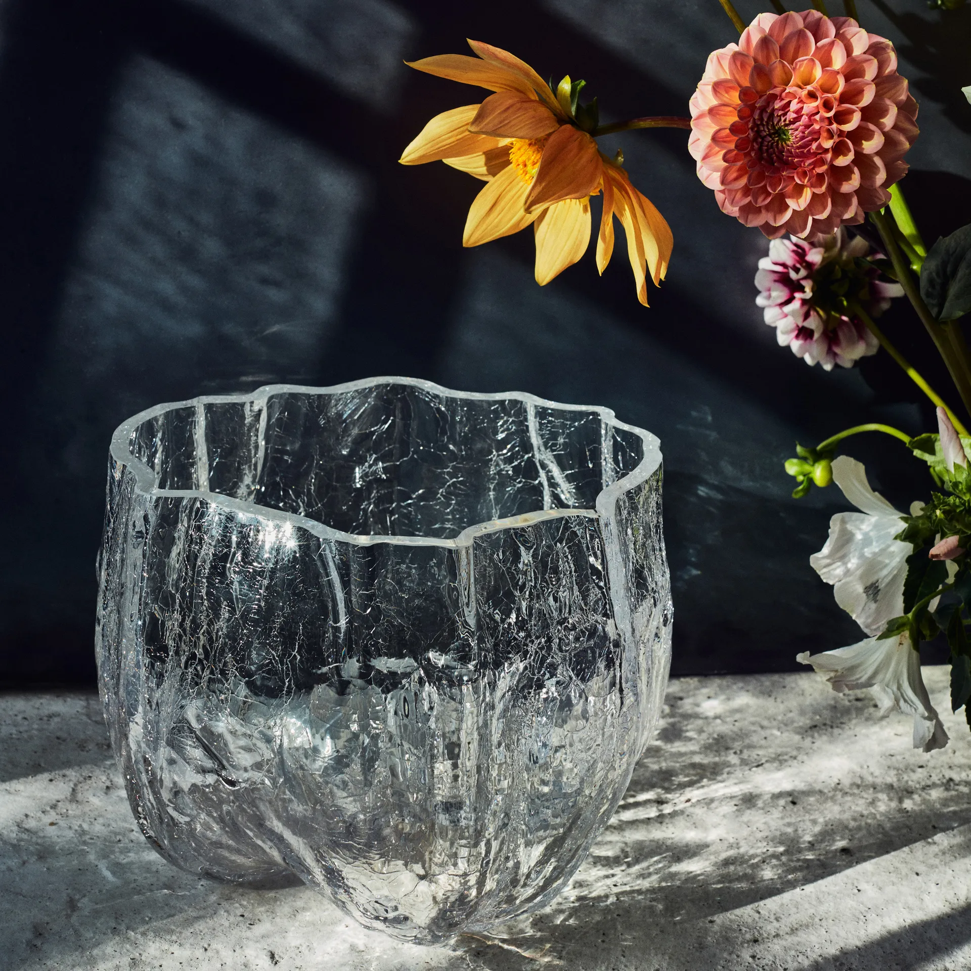 Tigela grande Crackle, transparente Kosta Boda