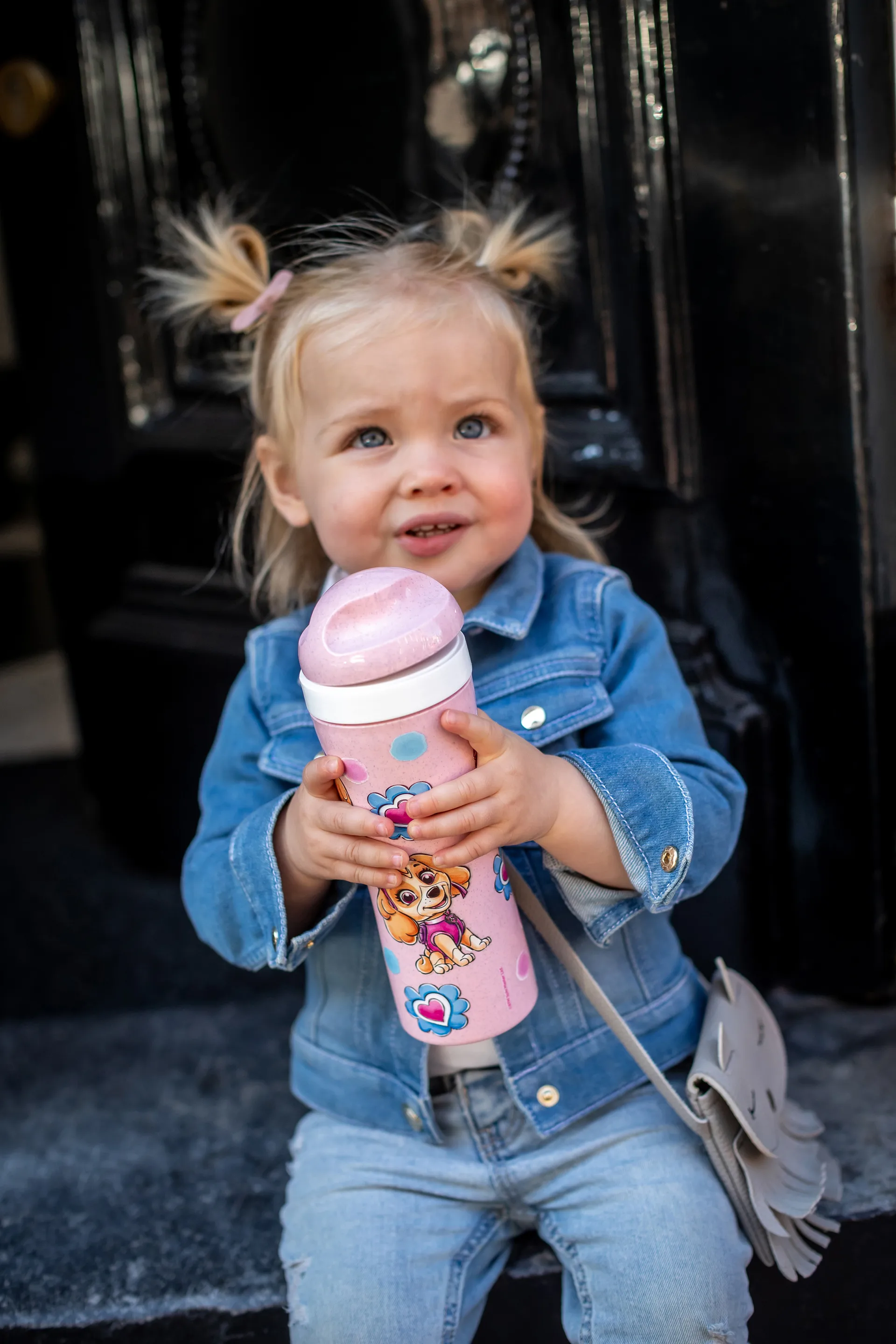 Oase Paw Patrol garrafa 42,5 cl, Rosa Koziol