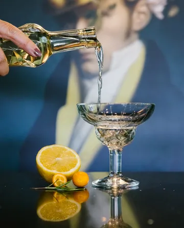 Chicago copo de cocktail 6 unidades - 21 cl - La Rochère