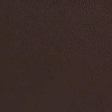 Poltrona Cinema - Elmo Nordic couro castanho-escuro — estrutura cromada - Lammhults