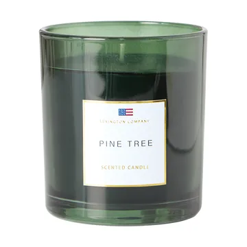 Vela perfumada de pinho - Pine Tree vela perfumada - Lexington