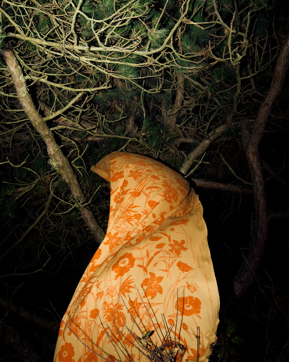 Perenna tecido de algodão, Caramelo-laranja queimado Marimekko