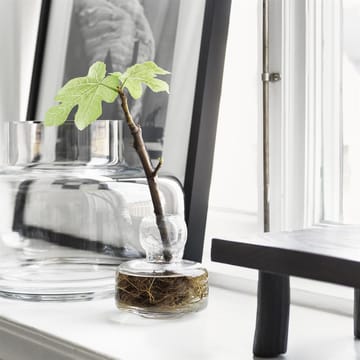 Urna vaso 21 cm - transparente - Marimekko