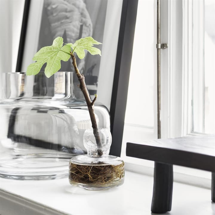 Urna vaso 21 cm, transparente Marimekko