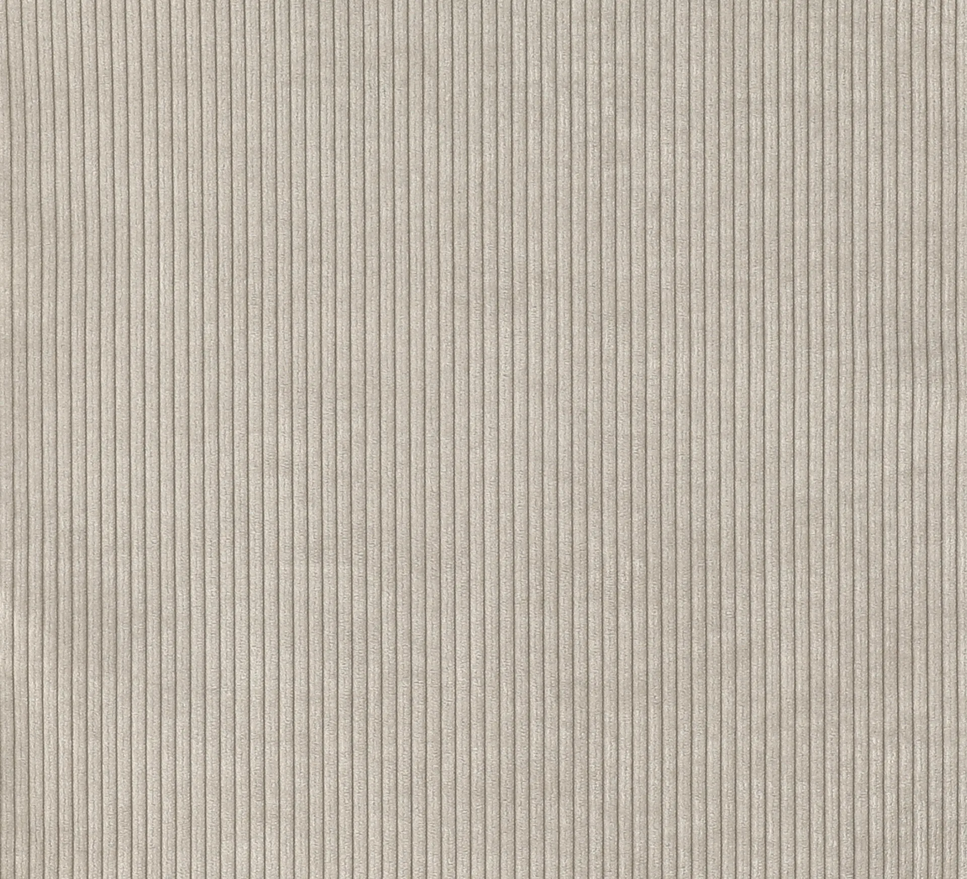 Amostra de tecido Jump, Beige 1956 Material Samples