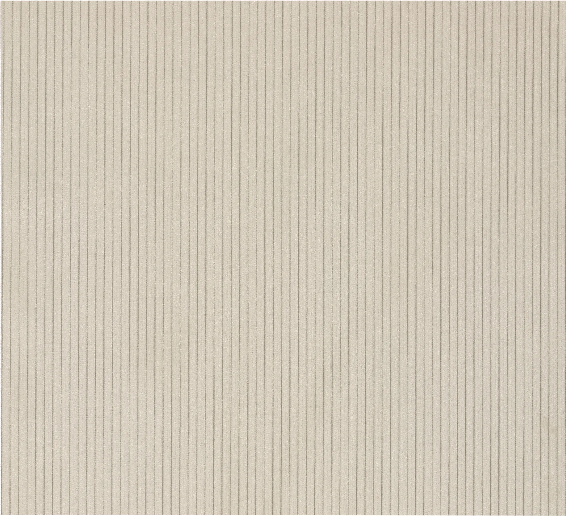 Amostra de tecido Jump, Off White 1954 Material Samples