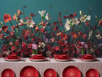 Oyster tigela Ø13 cm - Vermelho - Mateus