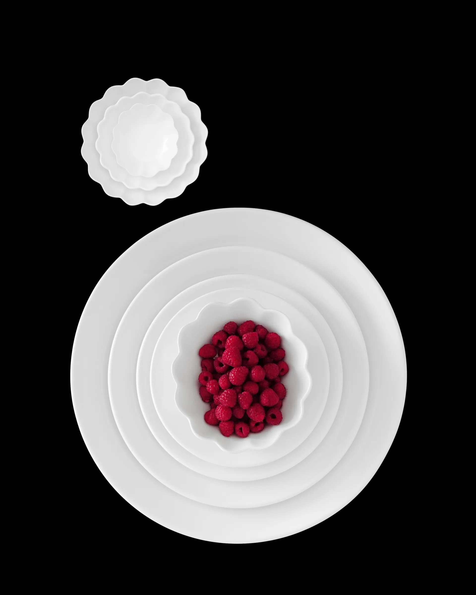 Tigela Oyster 18x23 cm, Branco Mateus