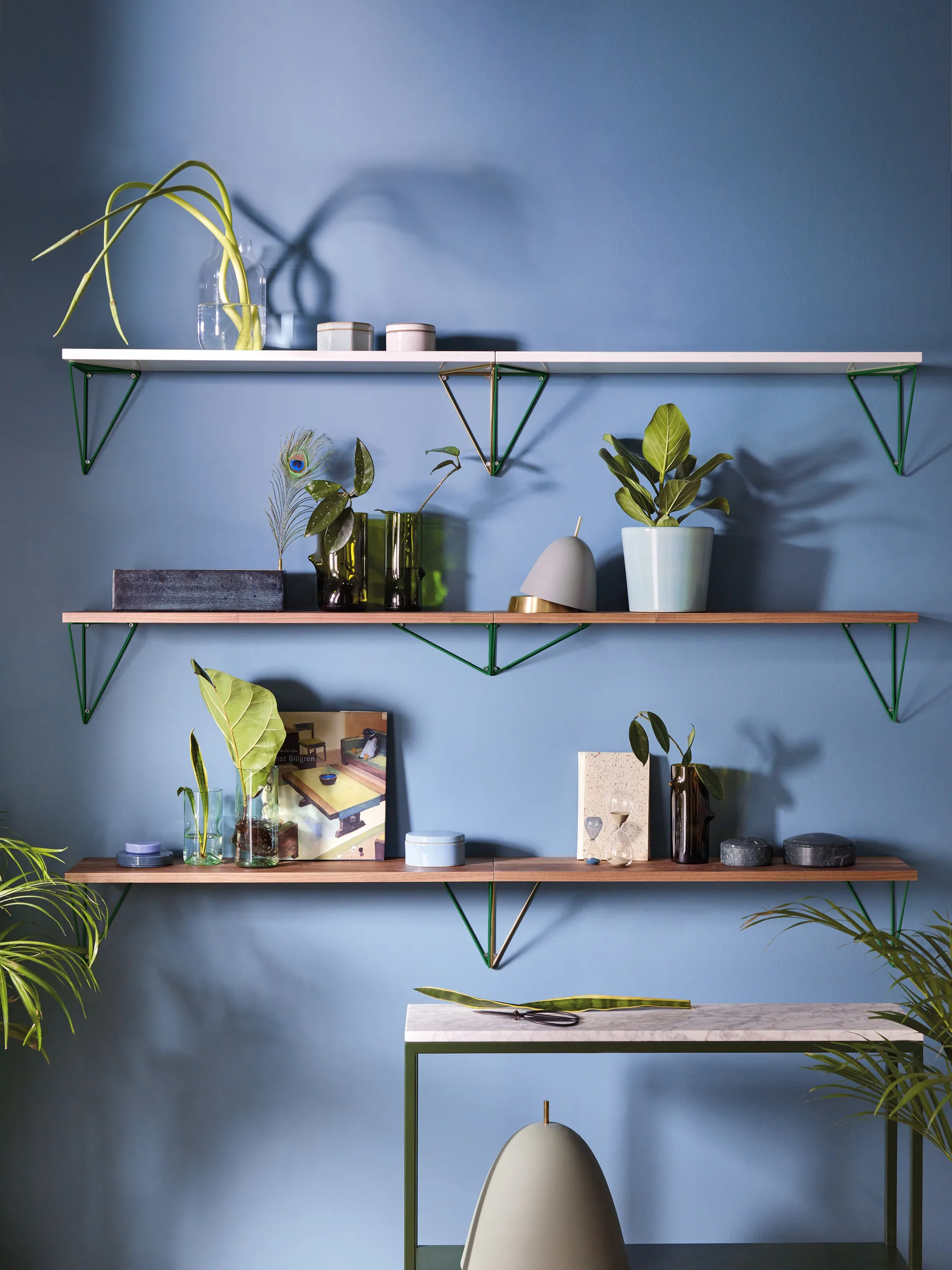 Prateleira Pythagoras, nogueira Maze