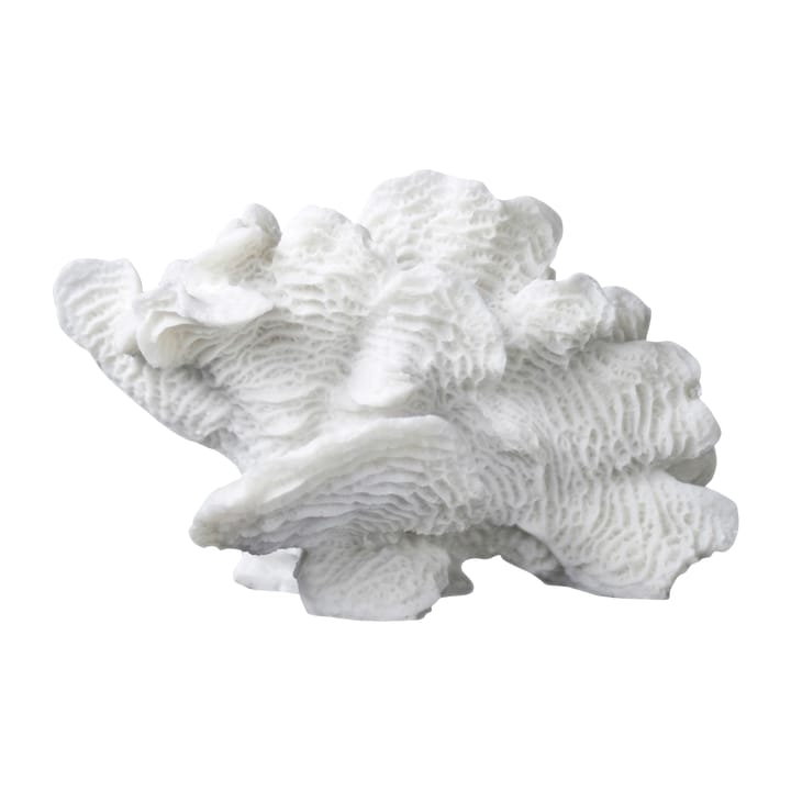 Coral Fan - Branco - Mette Ditmer