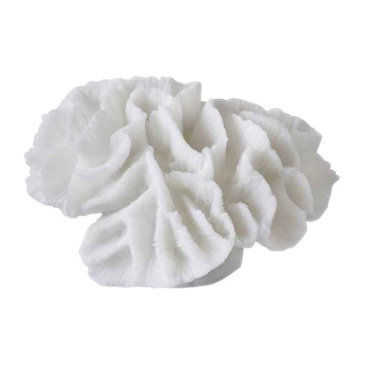 Coral Gills - Branco - Mette Ditmer