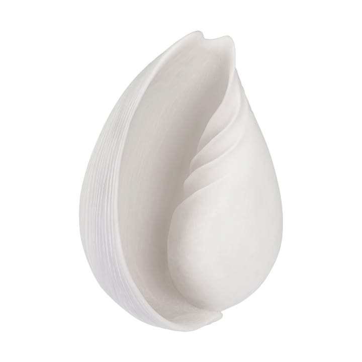 Decoração caracol Conch , Grande  Mette Ditmer