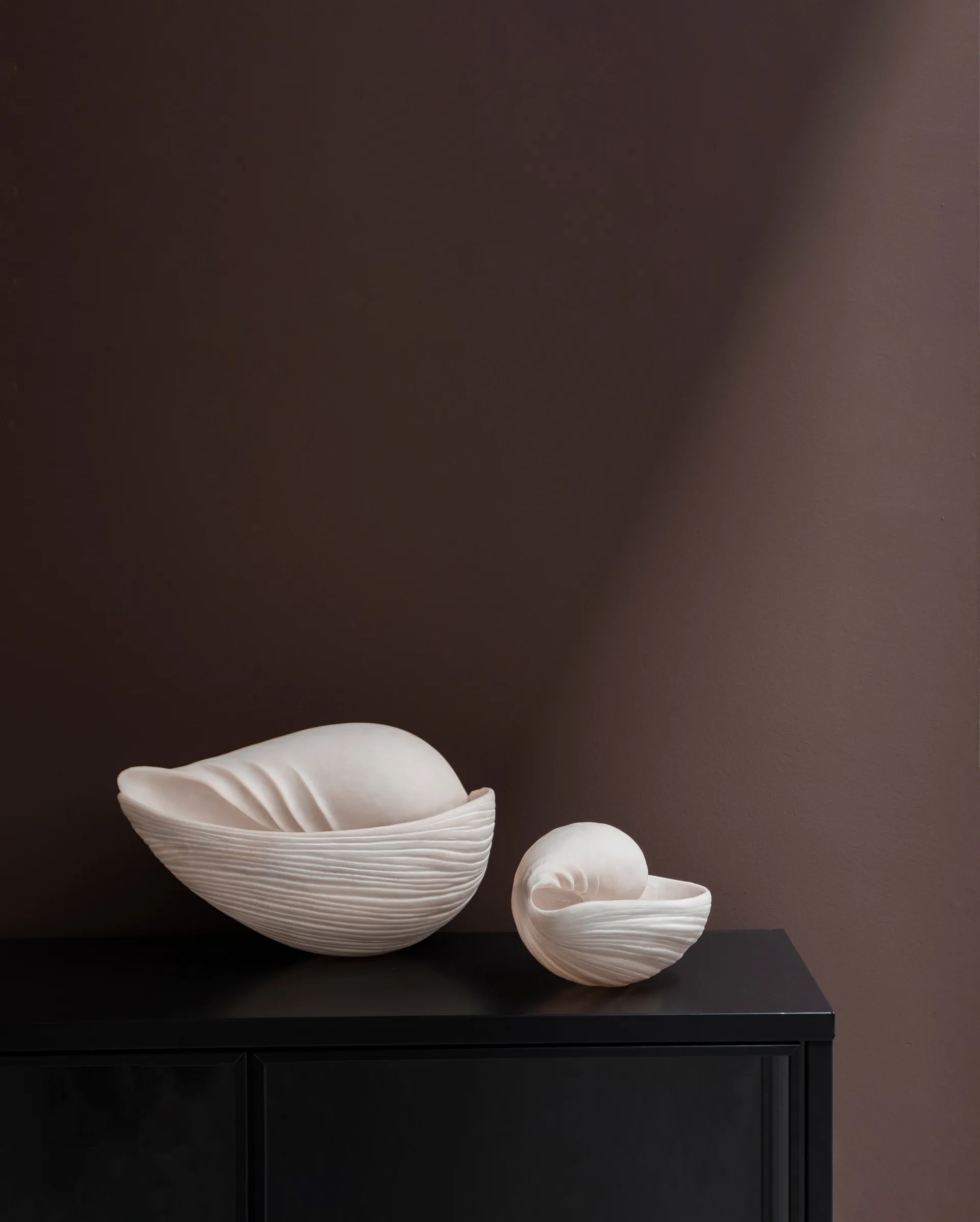 Decoração caracol Conch , Grande  Mette Ditmer