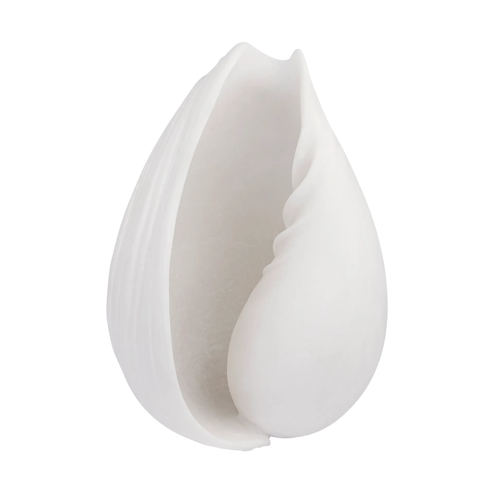 Decoração caracol Conch , Pequeno  Mette Ditmer