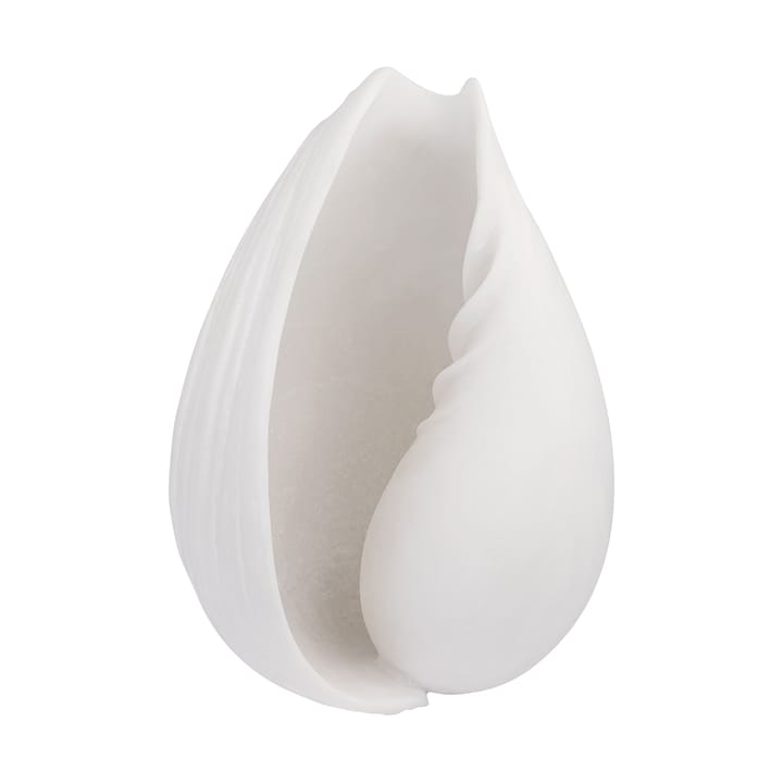 Decoração caracol Conch , Pequeno  Mette Ditmer