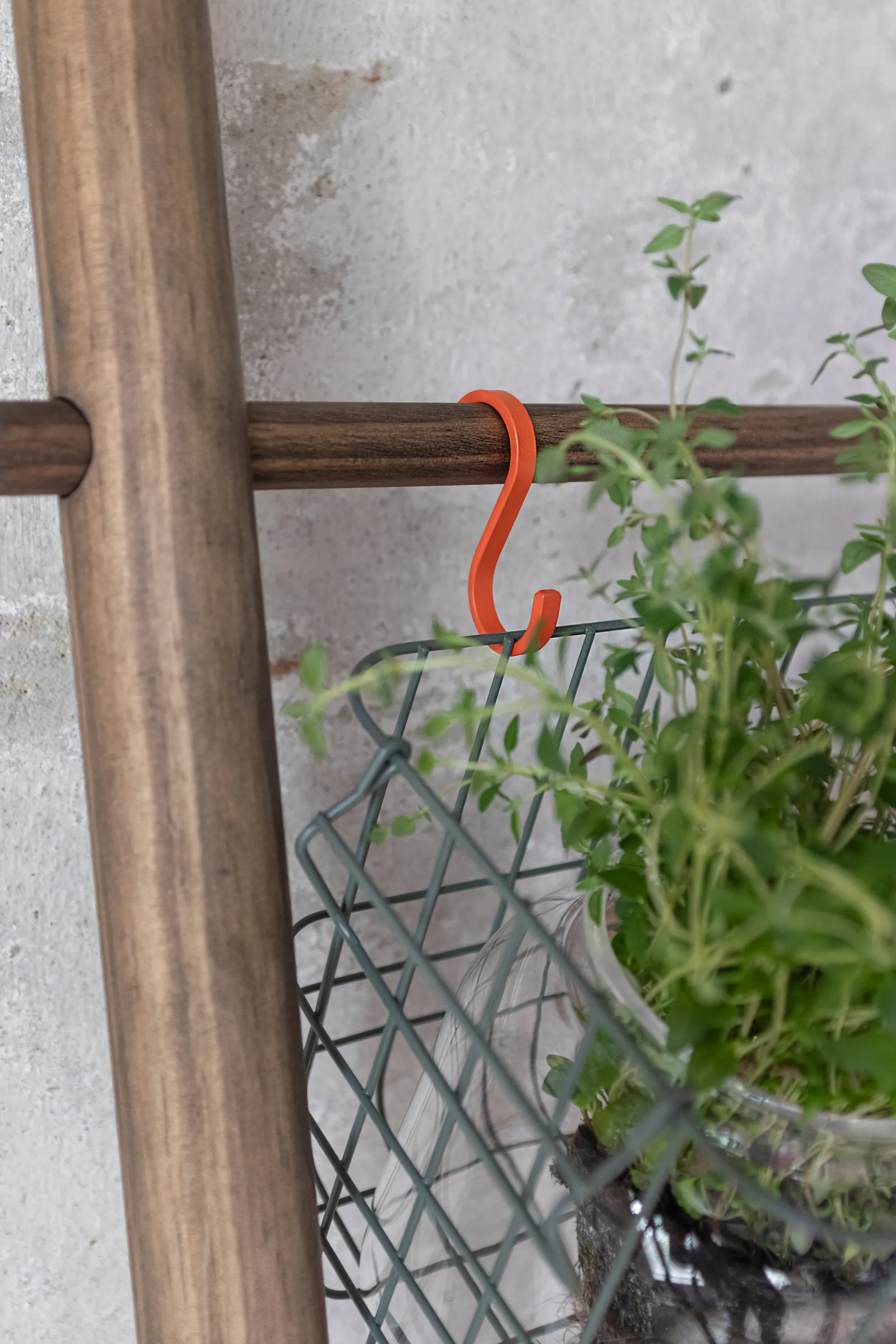 Hang-it gancho 5 unidades, Laranja Mette Ditmer