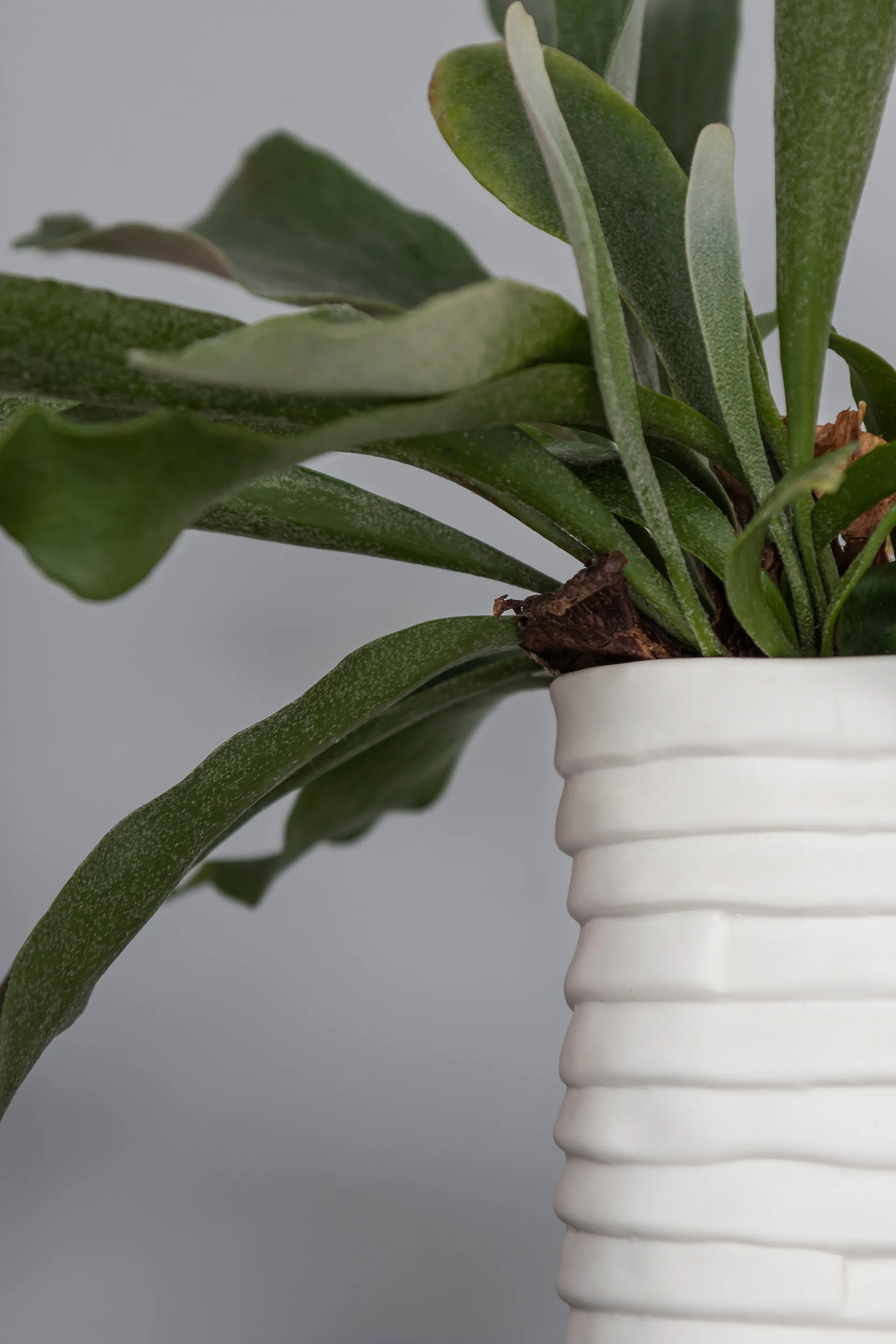 Vaso grande Ribbon 20 cm, Off-white Mette Ditmer