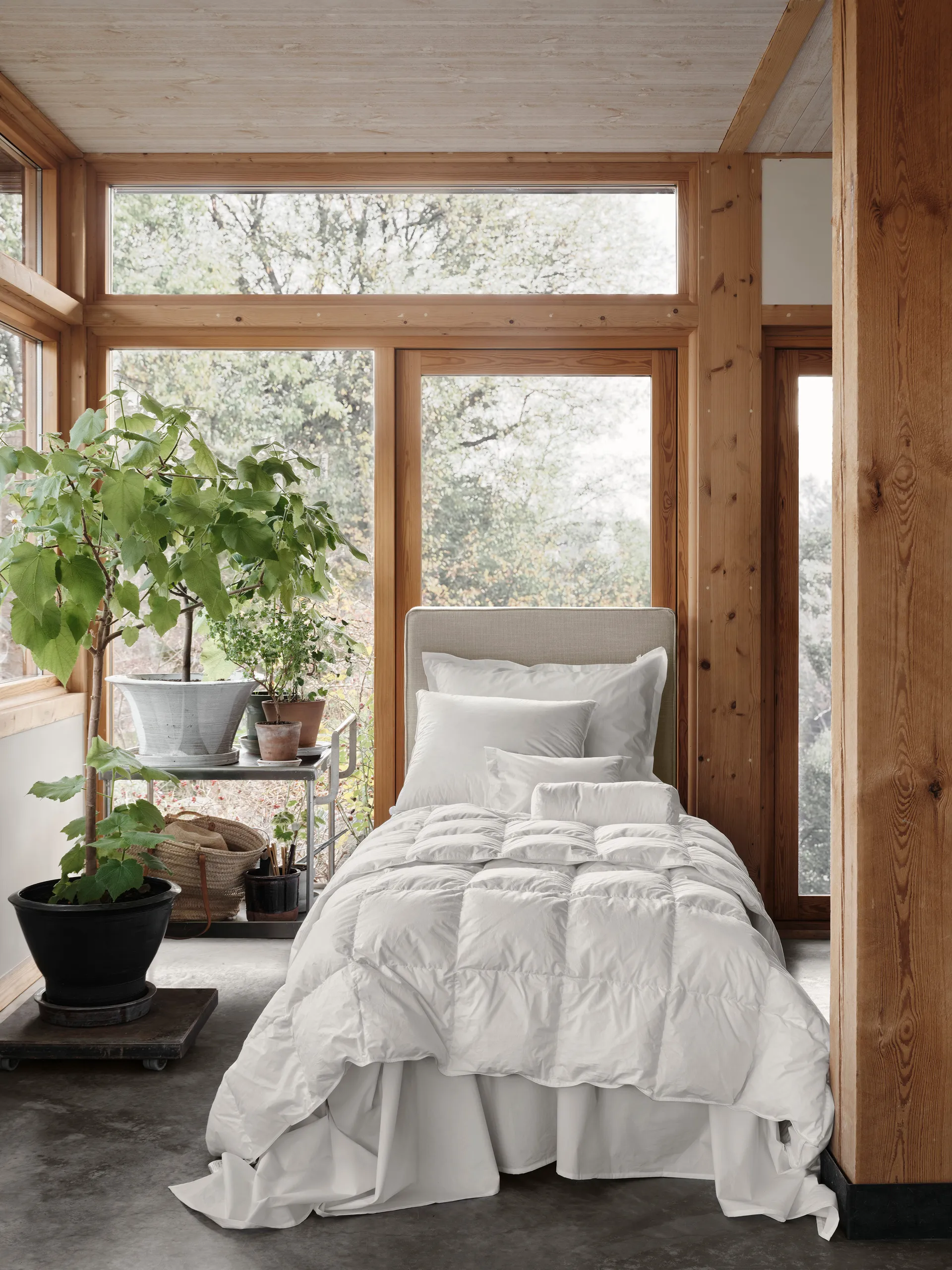 Natura edredon de penas, Branco, 220 x 220 cm, Quente Mille Notti