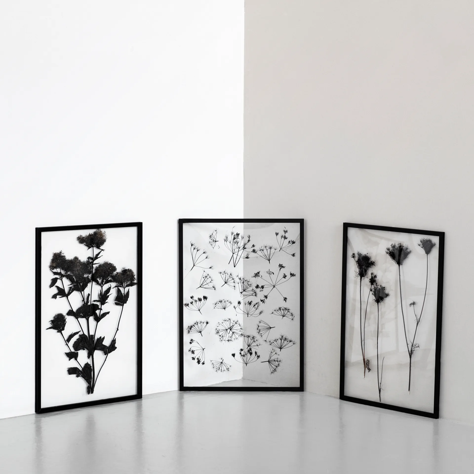 Moebe moldura A2, Preto MOEBE