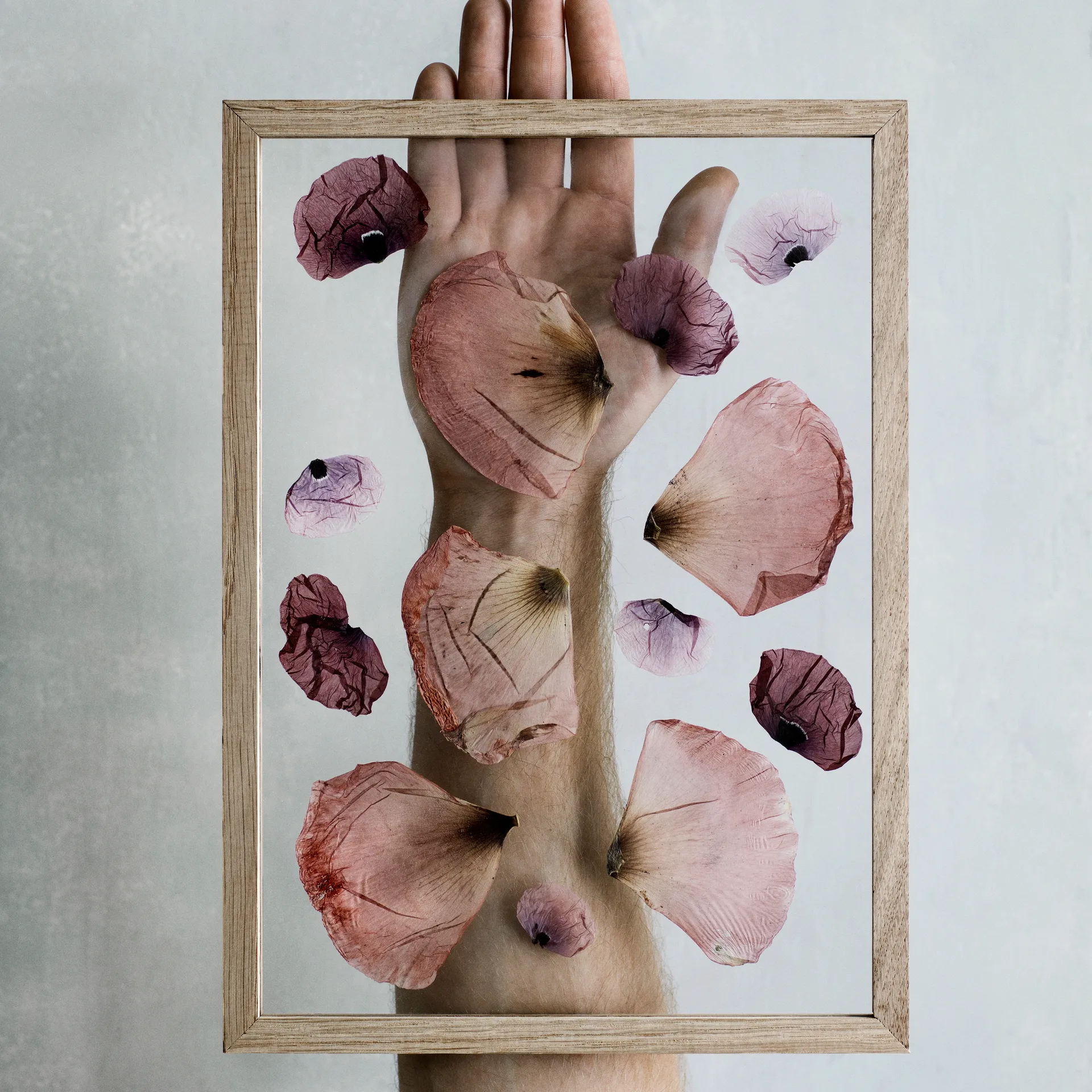 Moldura Moebe A4 23x31,7 cm, Carvalho MOEBE