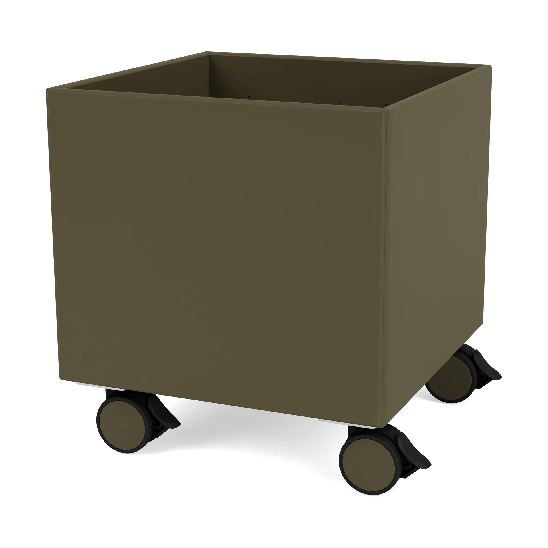 Colour Box I – S6161, Oregano Montana