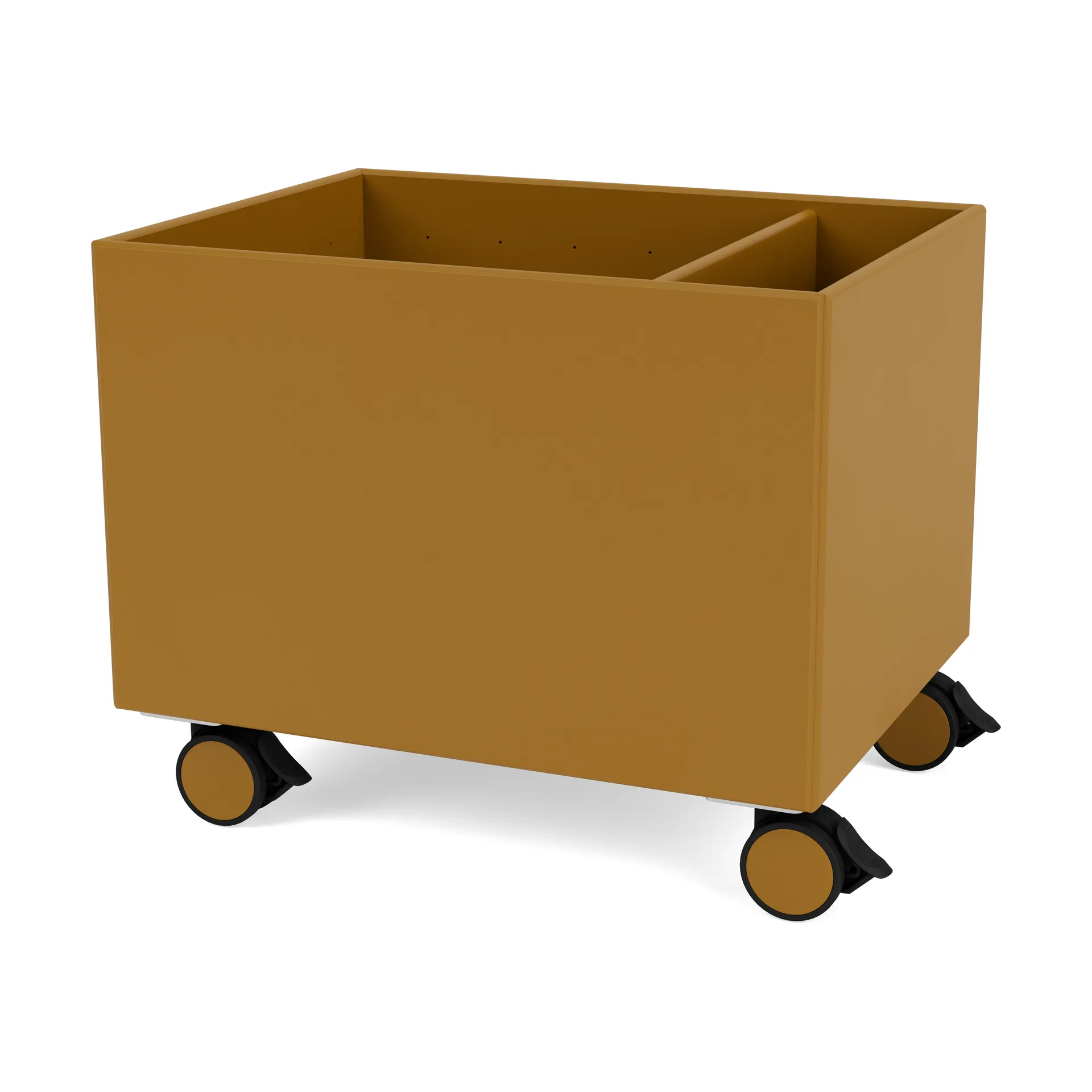 Colour Box II, Amber Montana