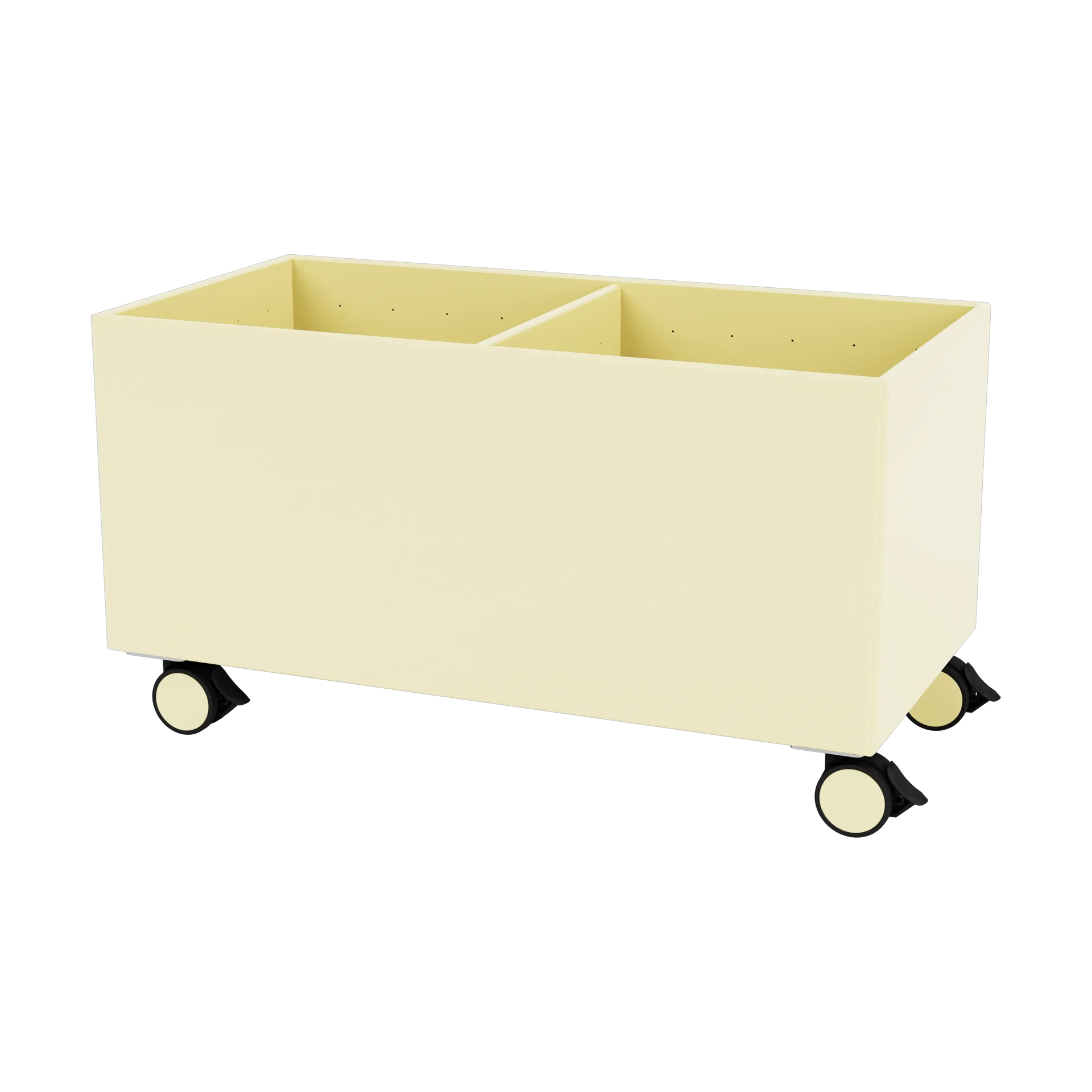 Colour Box III, Camomile Montana