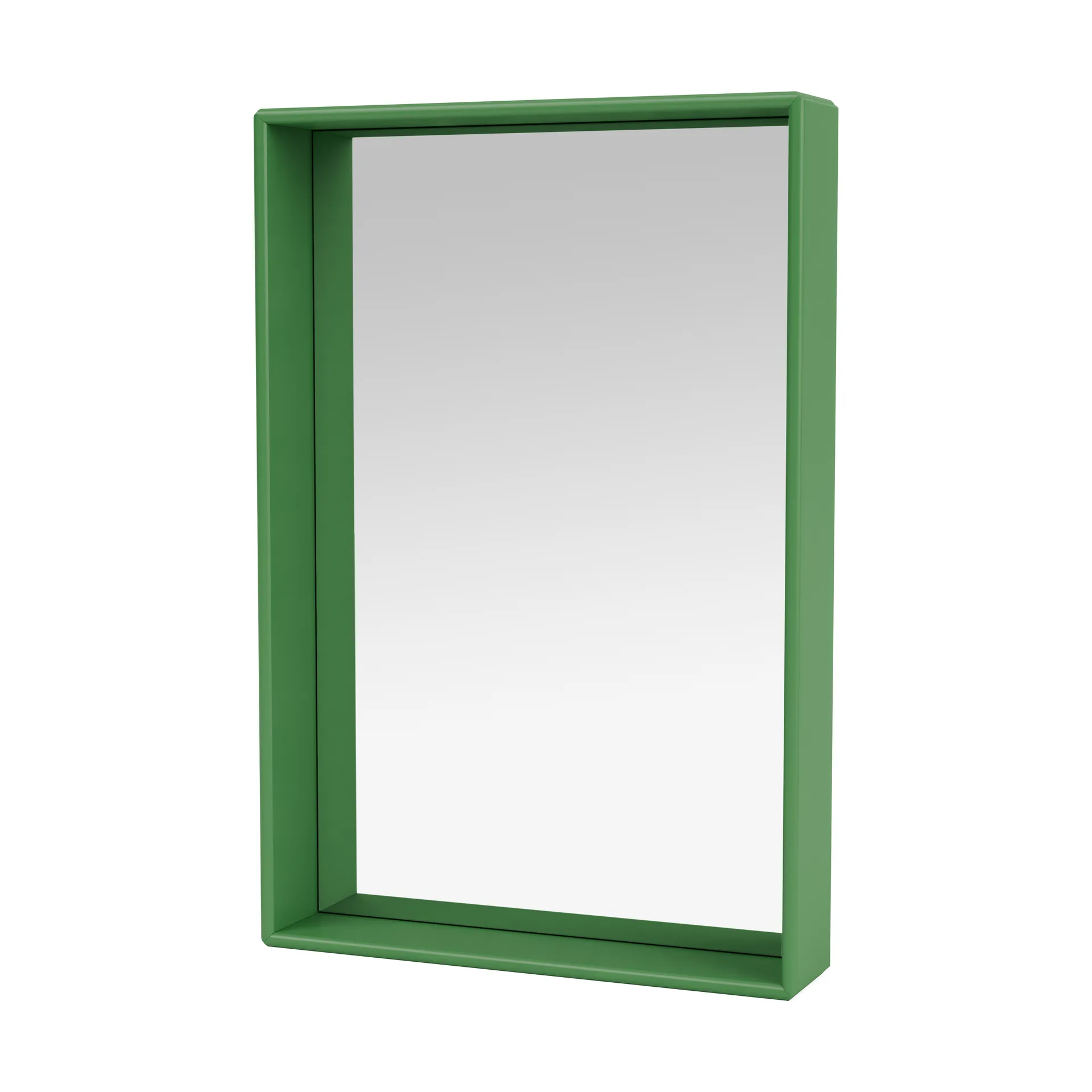 Espelho Shelfie Colour Frame 46,8x69,6 cm, Parsley Montana