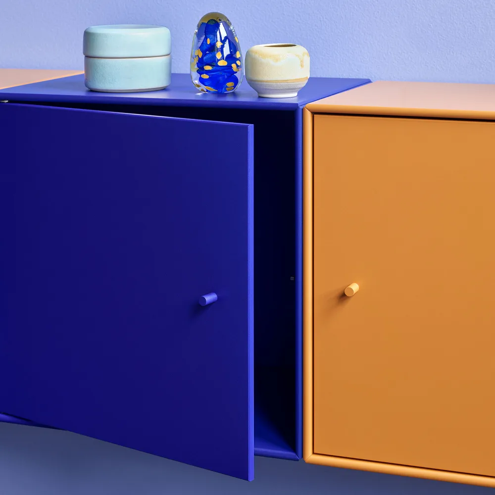 Montana Mini 1103 prateleira módulo, Ruibarbo 151. com porta Montana