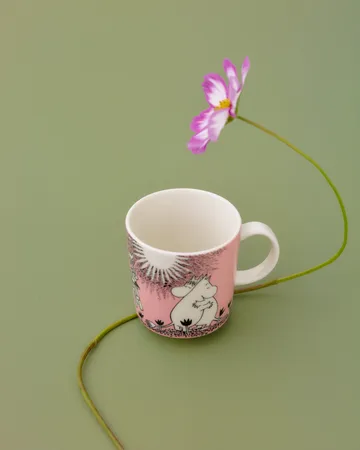 Amor 30 anos caneca Mumin caixa de presente - 30 cl - Moomin Arabia