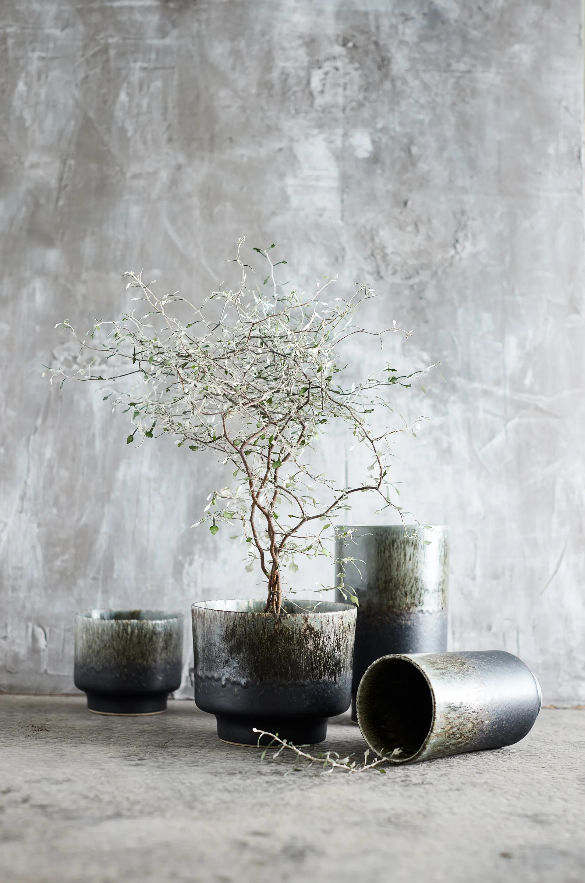 Jarro Lago S Ø12,5x11 cm, Forest green MUUBS