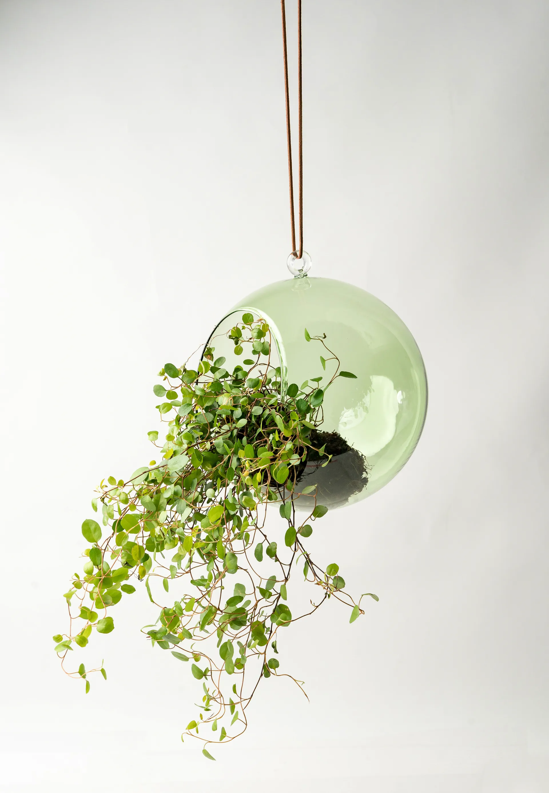 Bola suspensa decorativa Muurla Ø12 cm, Verde Muurla
