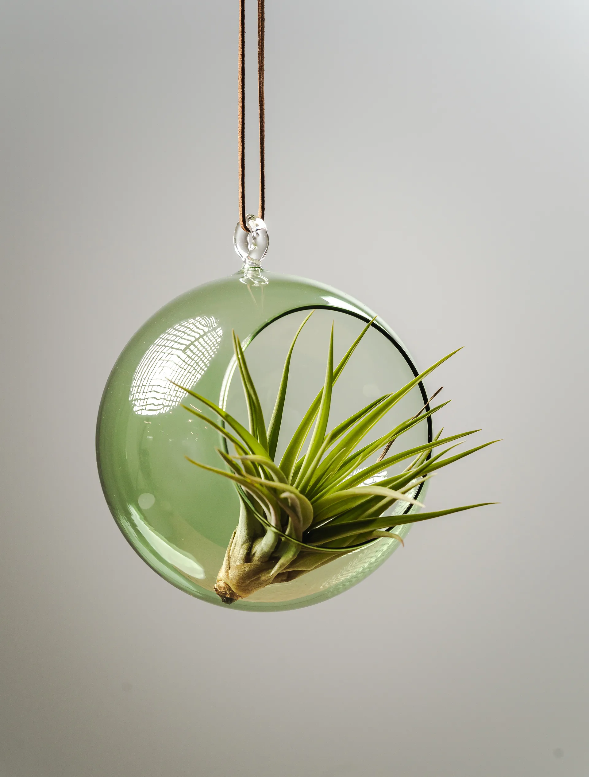 Bola suspensa decorativa Muurla Ø12 cm, Verde Muurla