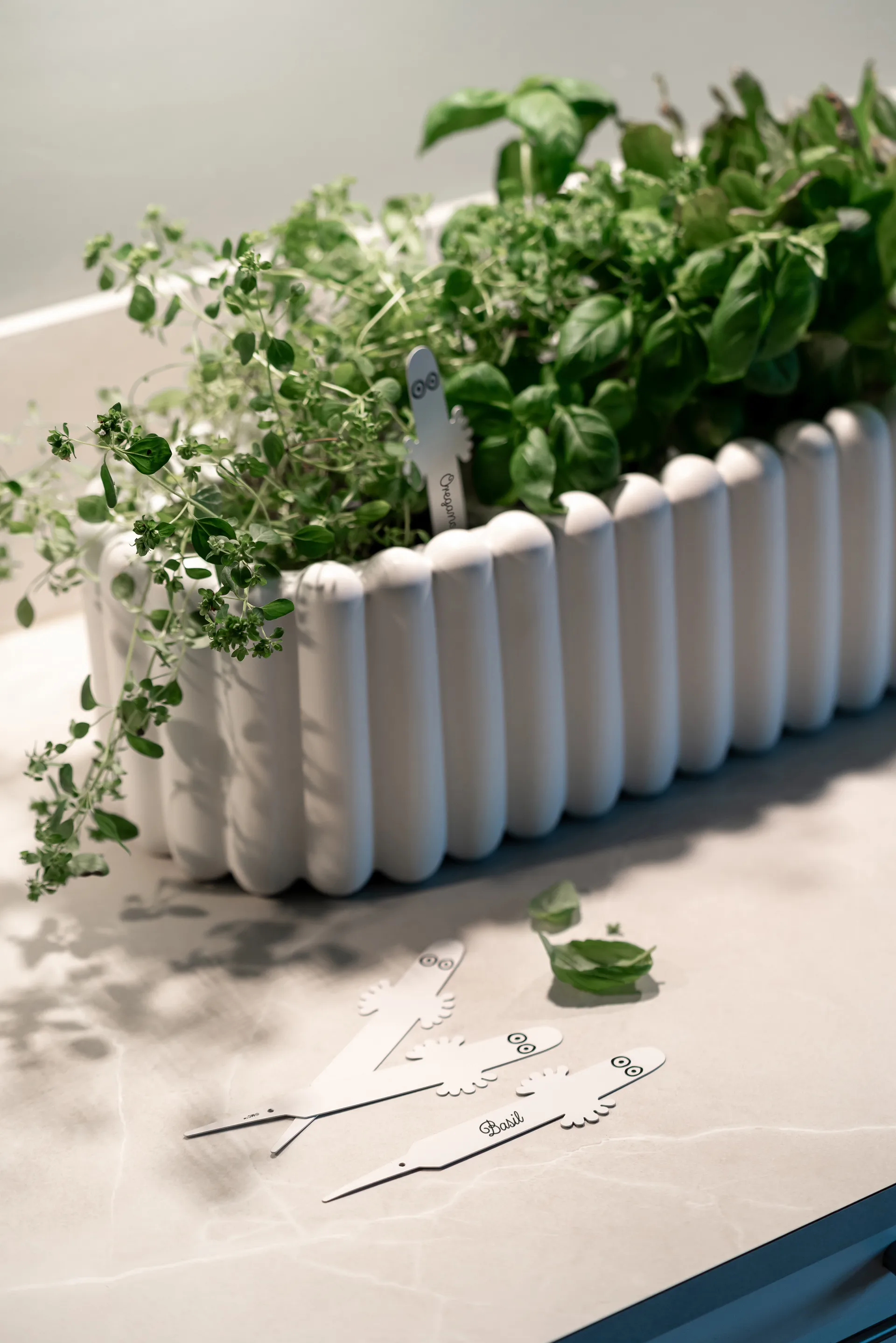 Etiqueta para planta Hattifattener pacote com 4, Branco Muurla