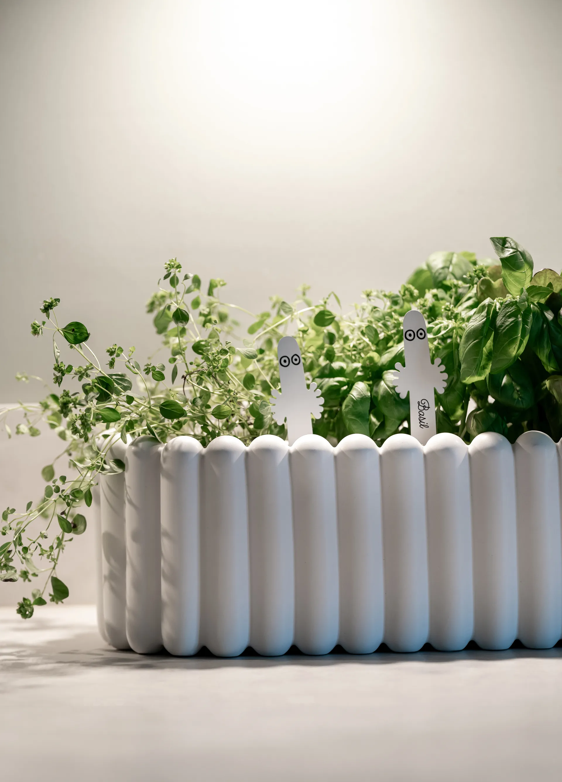 Etiqueta para planta Hattifattener pacote com 4, Branco Muurla