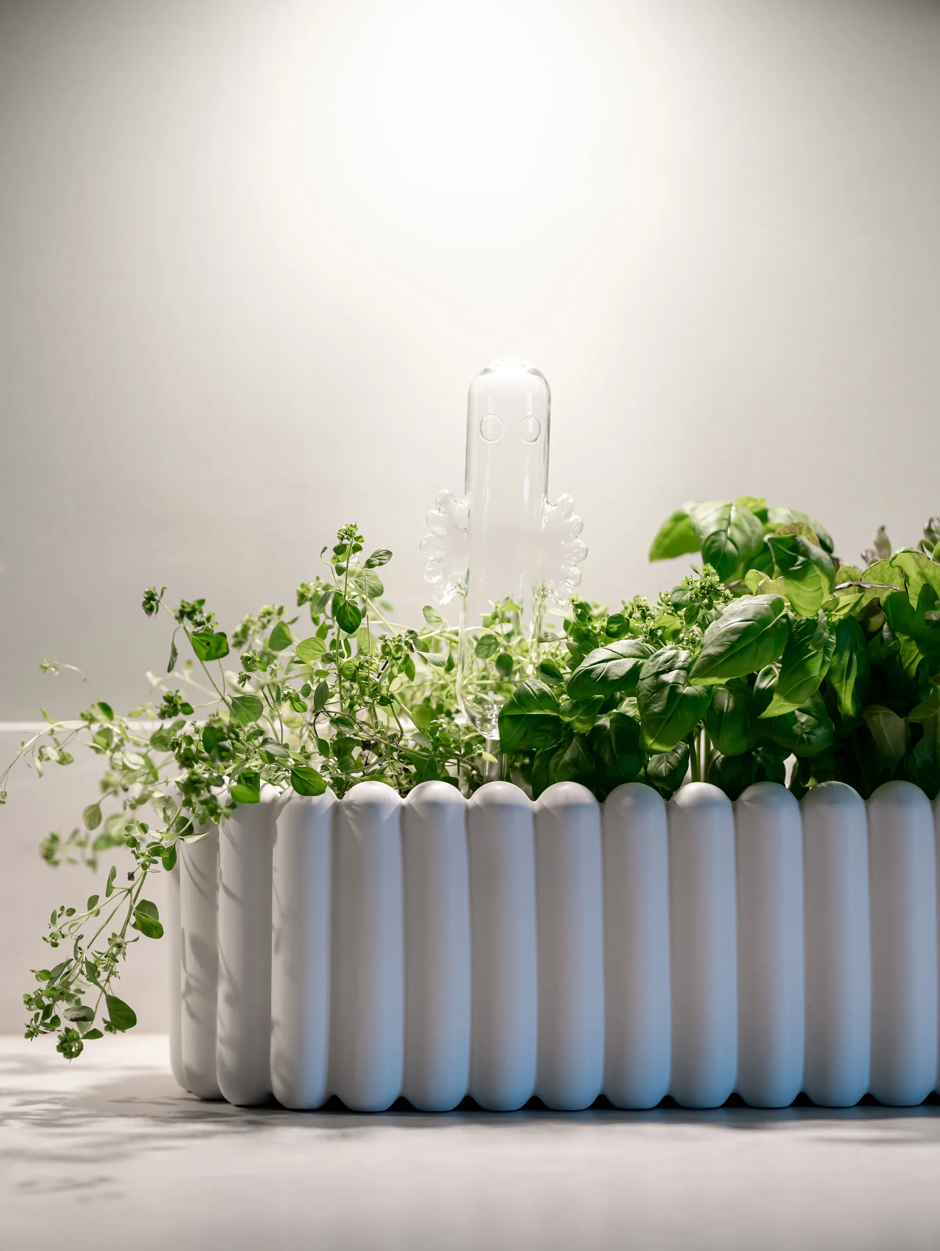 Vidro de Irrigação Hattifnattar, Transparente Muurla